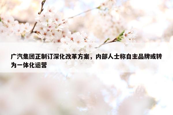 广汽集团正制订深化改革方案，内部人士称自主品牌或转为一体化运营