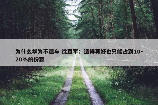 为什么华为不造车 徐直军：造得再好也只能占到10-20%的份额