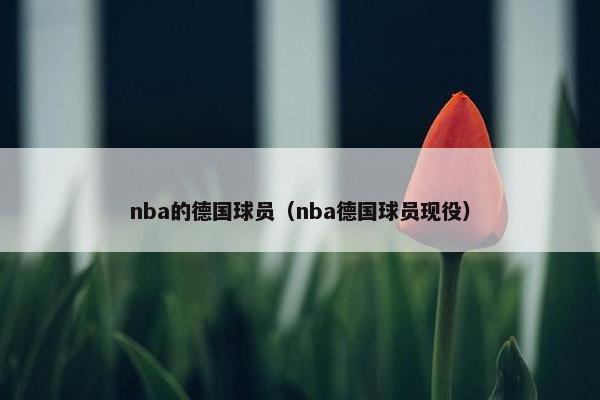 nba的德国球员（nba德国球员现役）