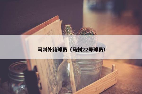 马刺外籍球员（马刺22号球员）