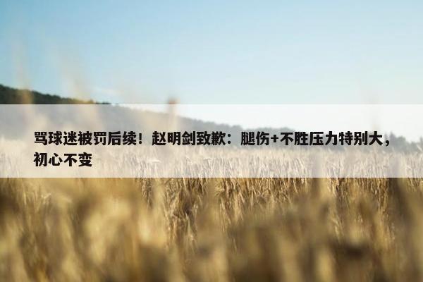 骂球迷被罚后续！赵明剑致歉：腿伤+不胜压力特别大，初心不变