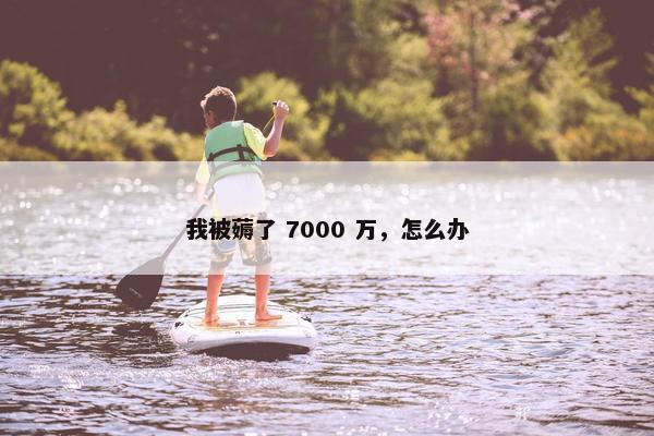 我被薅了 7000 万，怎么办