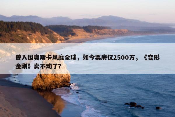 曾入围奥斯卡风靡全球，如今票房仅2500万，《变形金刚》卖不动了？