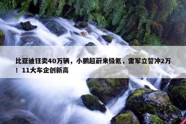 比亚迪狂卖40万辆，小鹏超蔚来极氪，雷军立誓冲2万！11大车企创新高