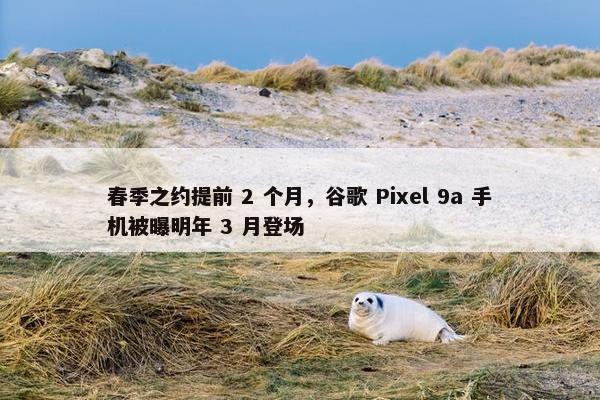 春季之约提前 2 个月，谷歌 Pixel 9a 手机被曝明年 3 月登场