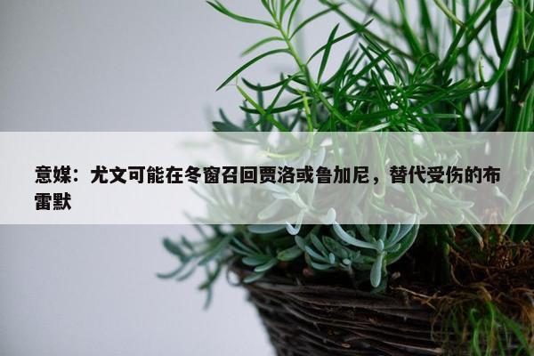 意媒：尤文可能在冬窗召回贾洛或鲁加尼，替代受伤的布雷默