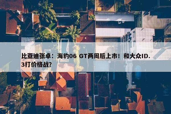 比亚迪张卓：海豹06 GT两周后上市！和大众ID.3打价格战？