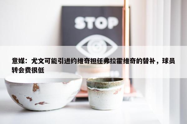 意媒：尤文可能引进约维奇担任弗拉霍维奇的替补，球员转会费很低