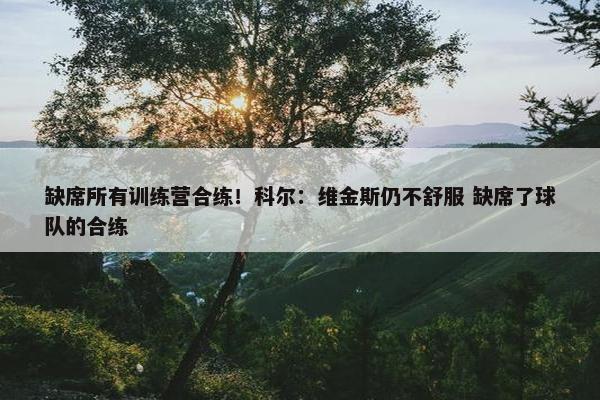 缺席所有训练营合练！科尔：维金斯仍不舒服 缺席了球队的合练