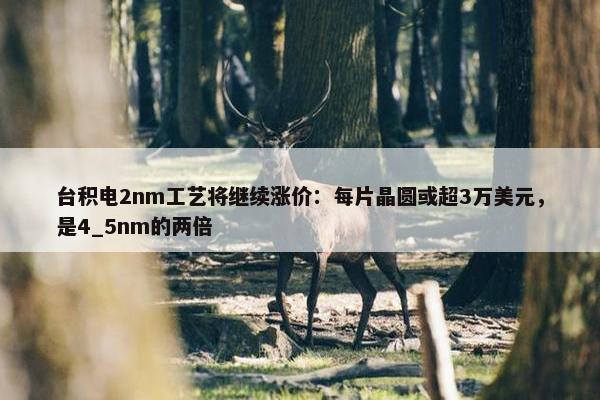 台积电2nm工艺将继续涨价：每片晶圆或超3万美元，是4_5nm的两倍