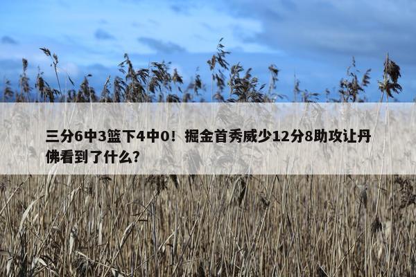 三分6中3篮下4中0！掘金首秀威少12分8助攻让丹佛看到了什么？