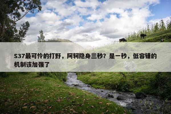 S37最可怜的打野，阿轲隐身三秒？是一秒，低容错的机制该加强了