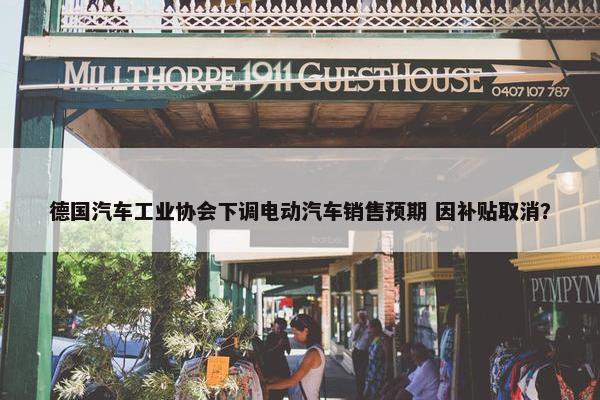 德国汽车工业协会下调电动汽车销售预期 因补贴取消？