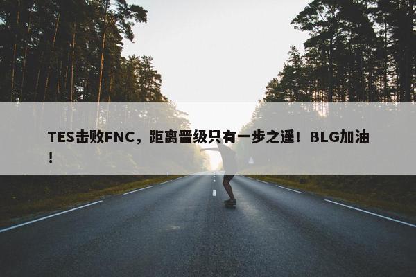 TES击败FNC，距离晋级只有一步之遥！BLG加油！