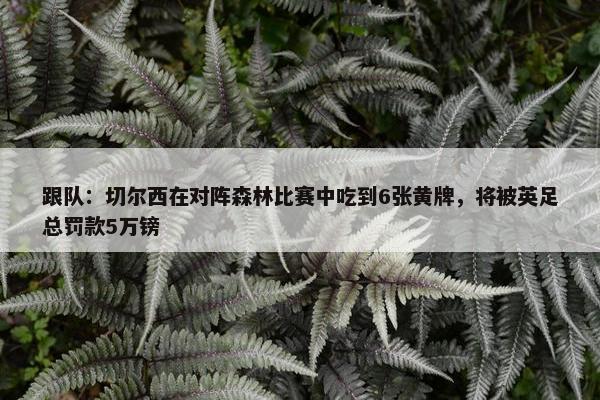 跟队：切尔西在对阵森林比赛中吃到6张黄牌，将被英足总罚款5万镑