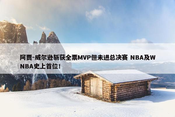 阿贾-威尔逊斩获全票MVP但未进总决赛 NBA及WNBA史上首位！