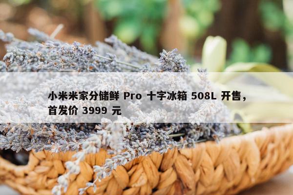 小米米家分储鲜 Pro 十字冰箱 508L 开售，首发价 3999 元