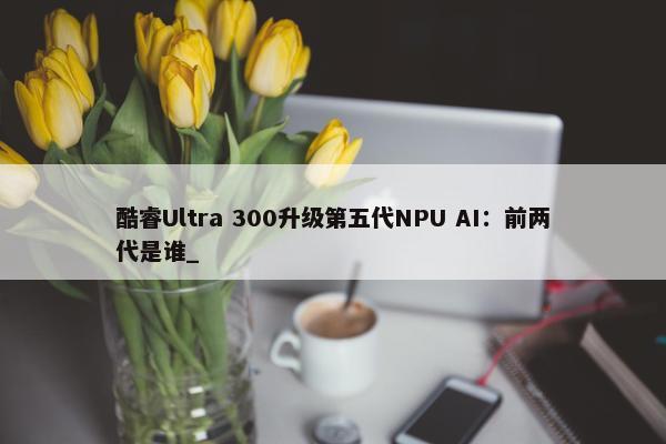 酷睿Ultra 300升级第五代NPU AI：前两代是谁_