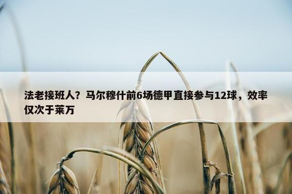 法老接班人？马尔穆什前6场德甲直接参与12球，效率仅次于莱万