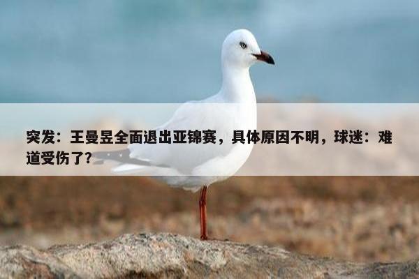 突发：王曼昱全面退出亚锦赛，具体原因不明，球迷：难道受伤了？