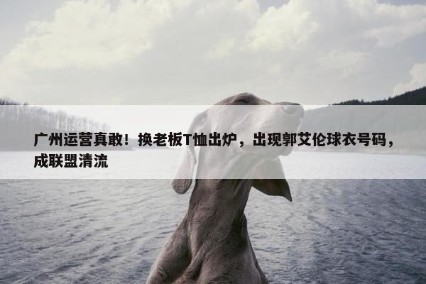 广州运营真敢！换老板T恤出炉，出现郭艾伦球衣号码，成联盟清流