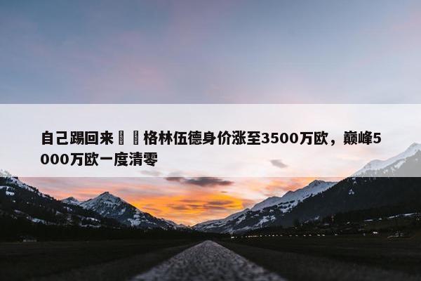 自己踢回来❗️格林伍德身价涨至3500万欧，巅峰5000万欧一度清零