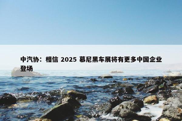 中汽协：相信 2025 慕尼黑车展将有更多中国企业登场