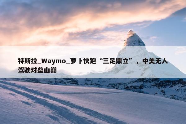 特斯拉_Waymo_萝卜快跑“三足鼎立”，中美无人驾驶对垒山巅