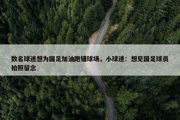 数名球迷想为国足加油跑错球场，小球迷：想见国足球员拍照留念