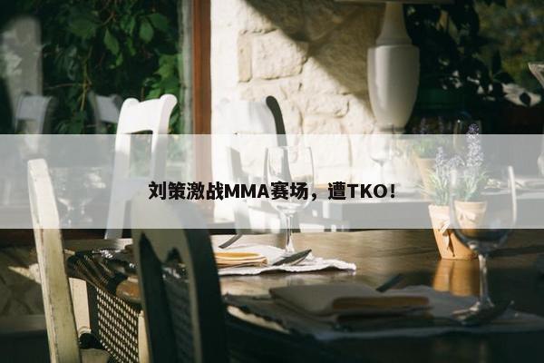 刘策激战MMA赛场，遭TKO！