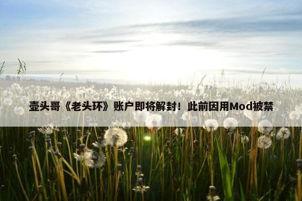 壶头哥《老头环》账户即将解封！此前因用Mod被禁