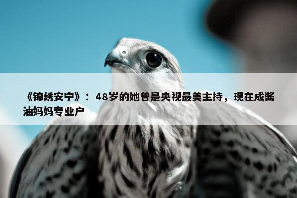 《锦绣安宁》：48岁的她曾是央视最美主持，现在成酱油妈妈专业户