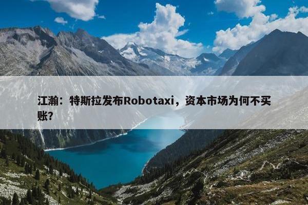 江瀚：特斯拉发布Robotaxi，资本市场为何不买账？