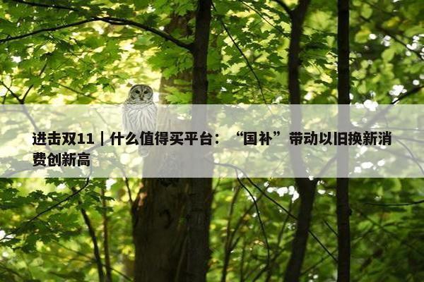 进击双11｜什么值得买平台：“国补”带动以旧换新消费创新高