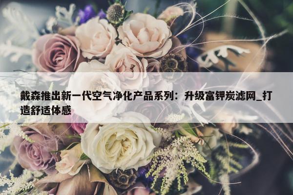 戴森推出新一代空气净化产品系列：升级富钾炭滤网_打造舒适体感