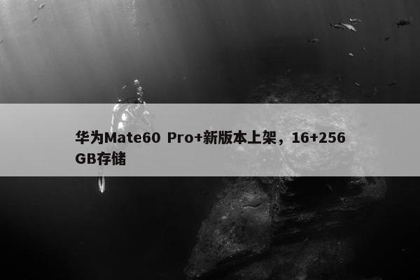 华为Mate60 Pro+新版本上架，16+256GB存储