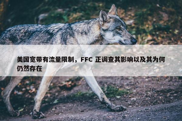 美国宽带有流量限制，FFC 正调查其影响以及其为何仍然存在