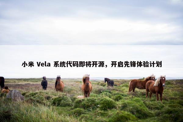 小米 Vela 系统代码即将开源，开启先锋体验计划