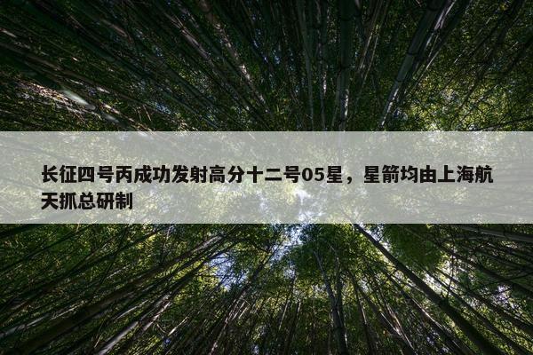 长征四号丙成功发射高分十二号05星，星箭均由上海航天抓总研制