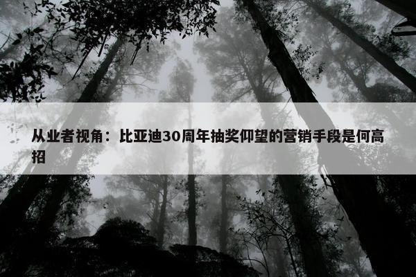 从业者视角：比亚迪30周年抽奖仰望的营销手段是何高招