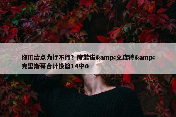 你们给点力行不行？席菲诺&文森特&克里斯蒂合计投篮14中0