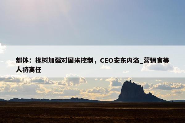 都体：橡树加强对国米控制，CEO安东内洛_营销官等人将离任