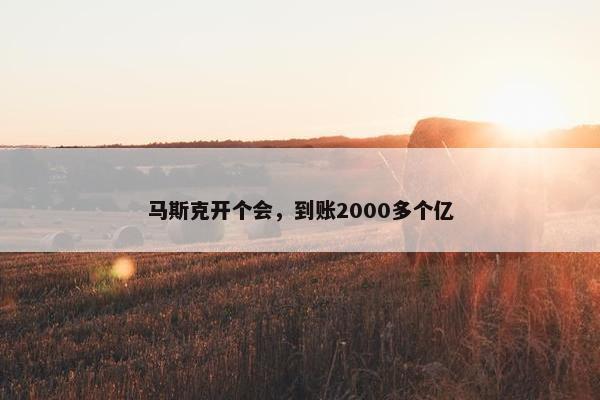 马斯克开个会，到账2000多个亿