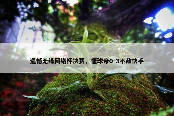 遗憾无缘网络杯决赛，懂球帝0-3不敌快手