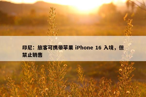 印尼：旅客可携带苹果 iPhone 16 入境，但禁止销售