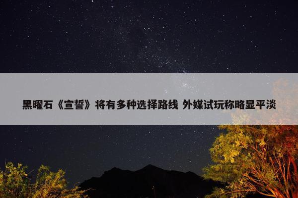 黑曜石《宣誓》将有多种选择路线 外媒试玩称略显平淡