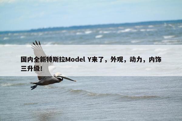 国内全新特斯拉Model Y来了，外观，动力，内饰三升级！