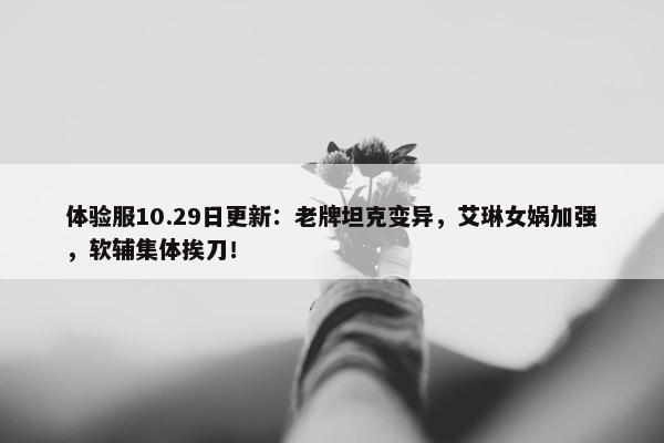 体验服10.29日更新：老牌坦克变异，艾琳女娲加强，软辅集体挨刀！