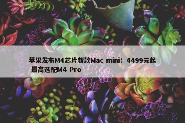 苹果发布M4芯片新款Mac mini：4499元起 最高选配M4 Pro