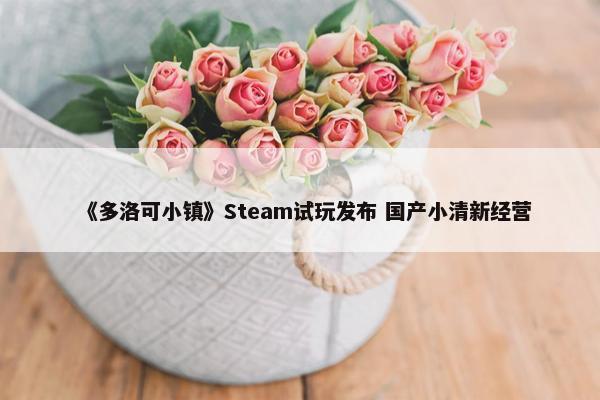 《多洛可小镇》Steam试玩发布 国产小清新经营